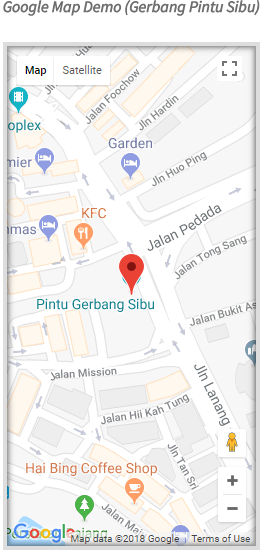 Google Map Demo